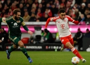 B体育体育投注-包含拜仁慕尼黑凭借绝佳表现横扫柏林赫塔，完胜对手取得胜利的词条