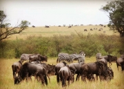 B体育体育投注-关于南非代表团默默努力，赢得尊重的信息