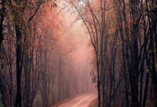 B体育体育亚洲官网-尤文图斯客场失利：豪门阵脚受挫，积分榜风云再起