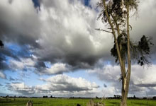 B体育体育网址-柏林赫塔爆冷失利弗兰克福，逆境之中寻找前行的力量