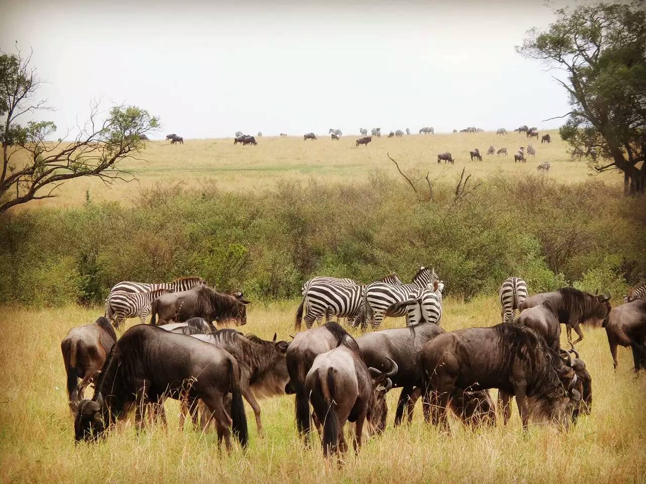 关于南非代表团默默努力,赢得尊重的信息 关于南非代表团默默努力,赢得尊重的信息